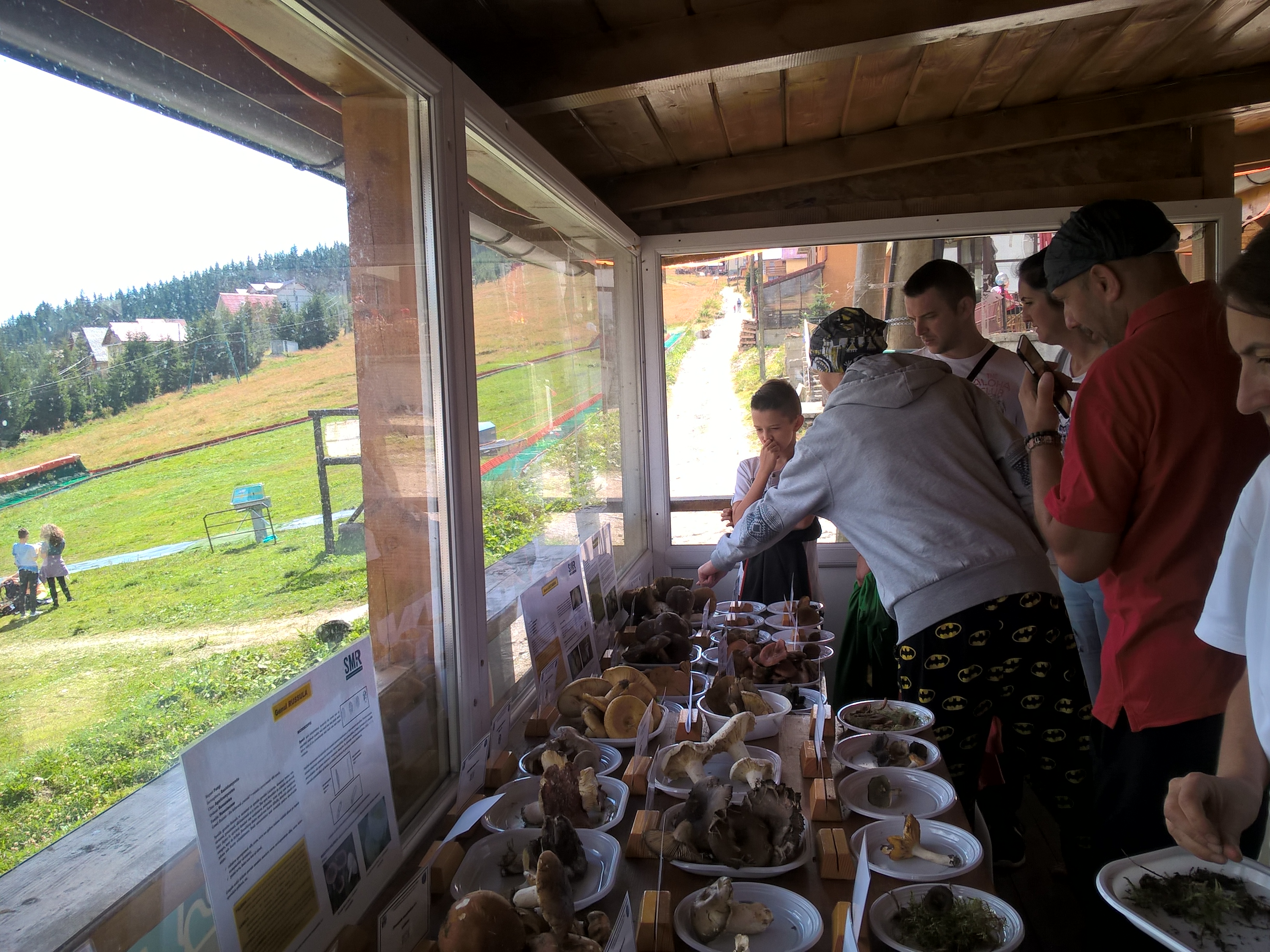 Tabăra micologică, Ediția a II-a, 18-21 august 2016, Rânca - Județul Gorj